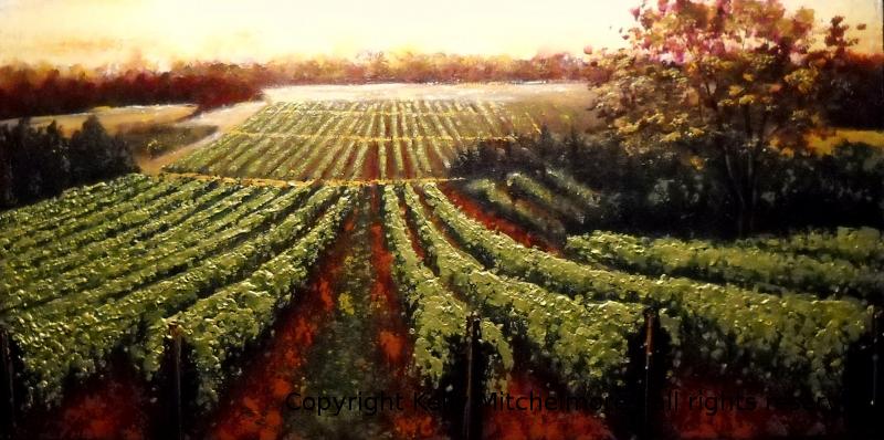 valley_vinyard_12x24_