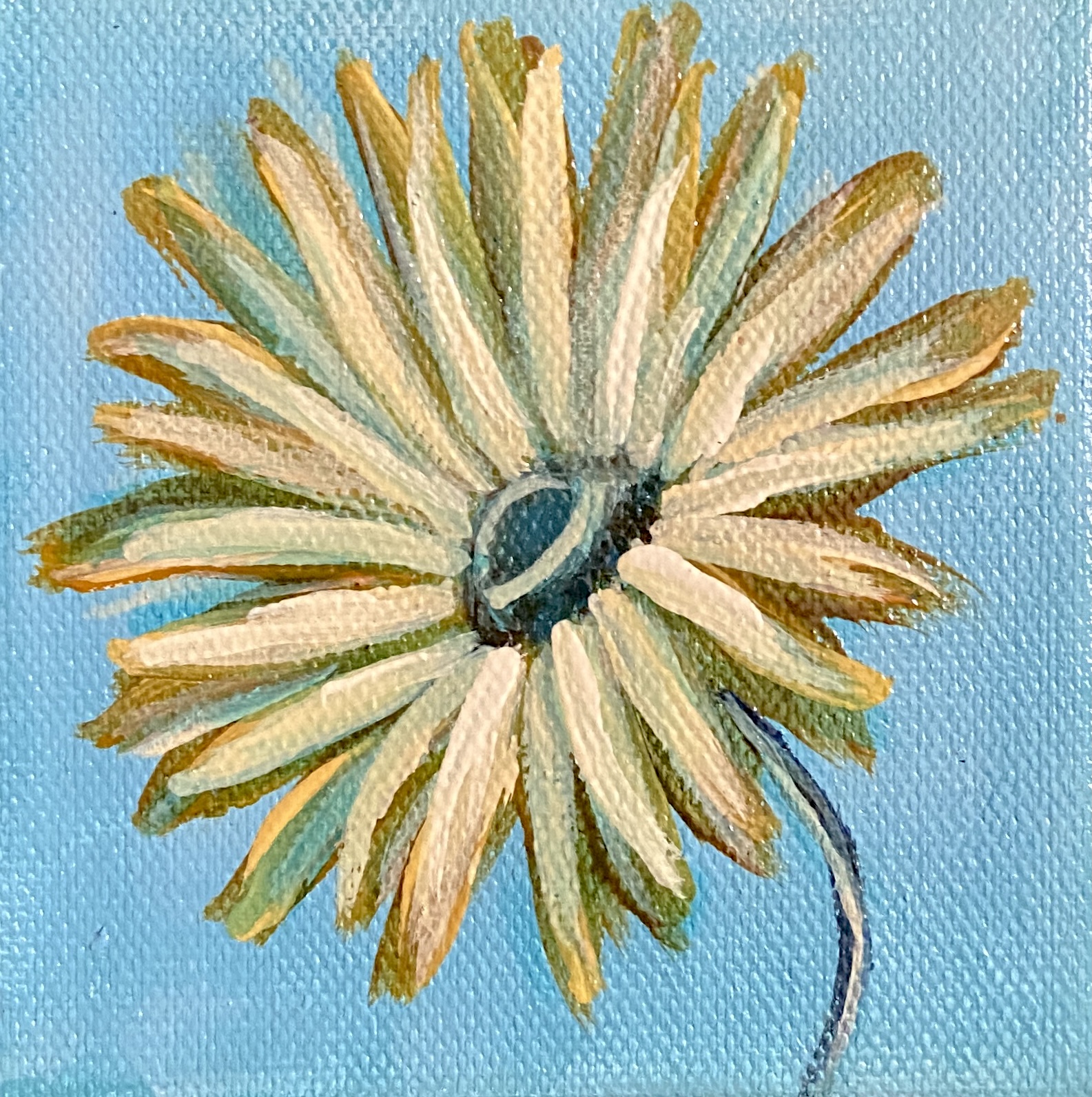 sweet daisy   – 4×4 oil