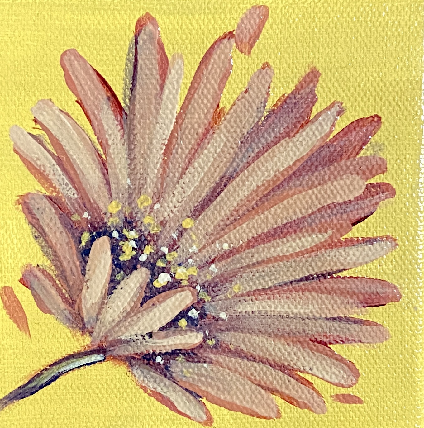 sun daisy – 4×4 oil