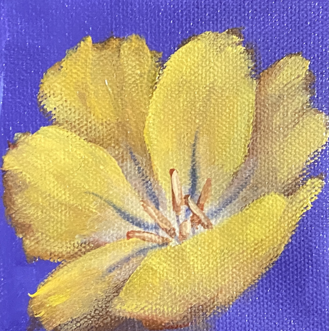 Golden Tulip 4×4