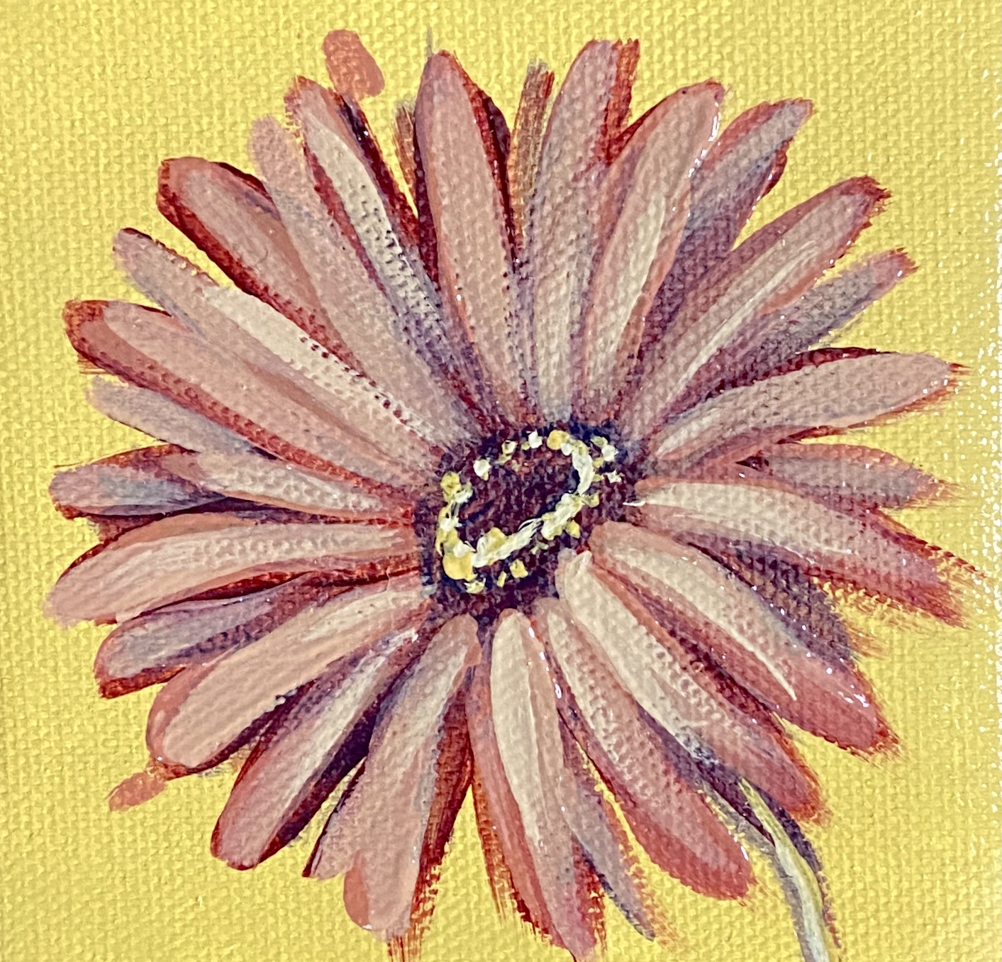 happy daisy – 4×4 oil