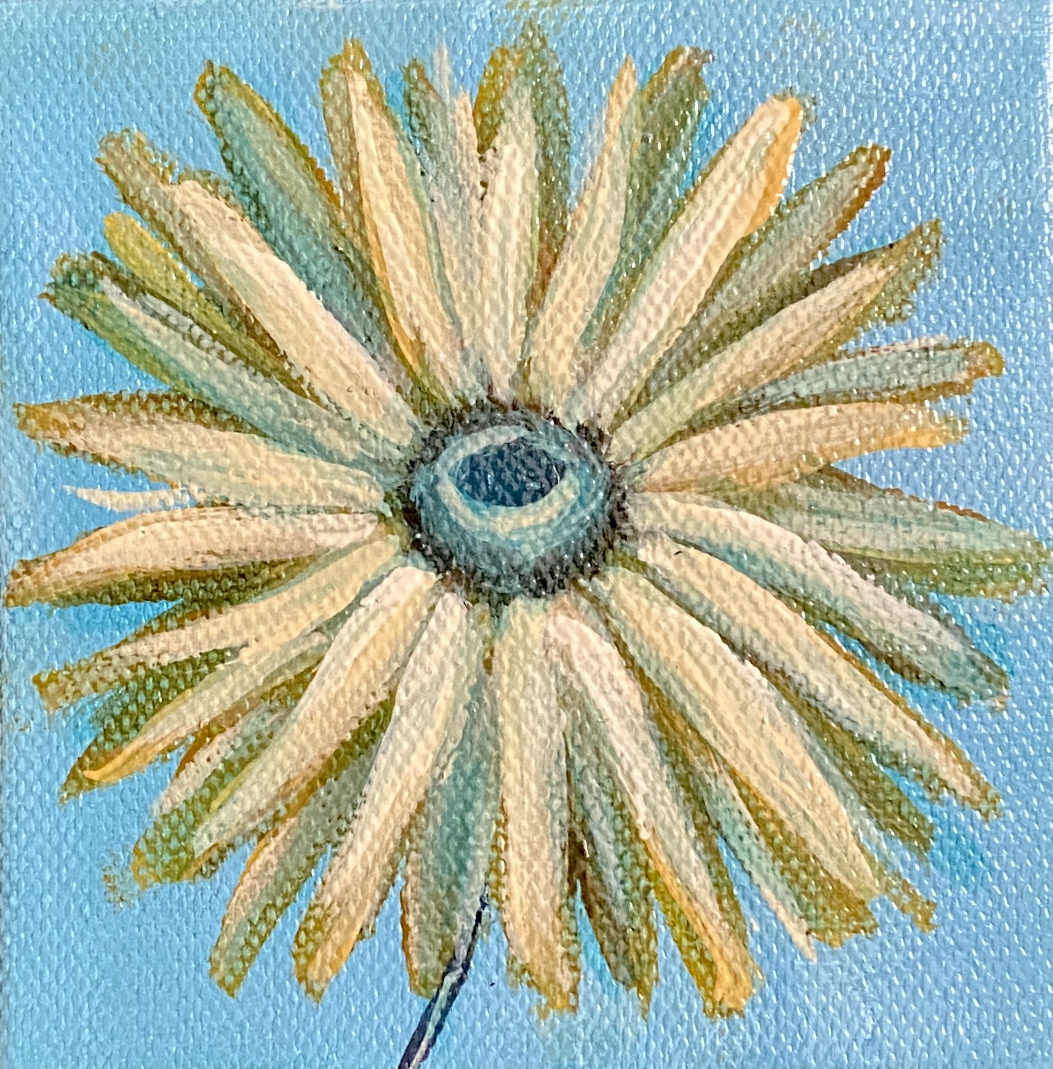morning daisy   – 4×4 oil