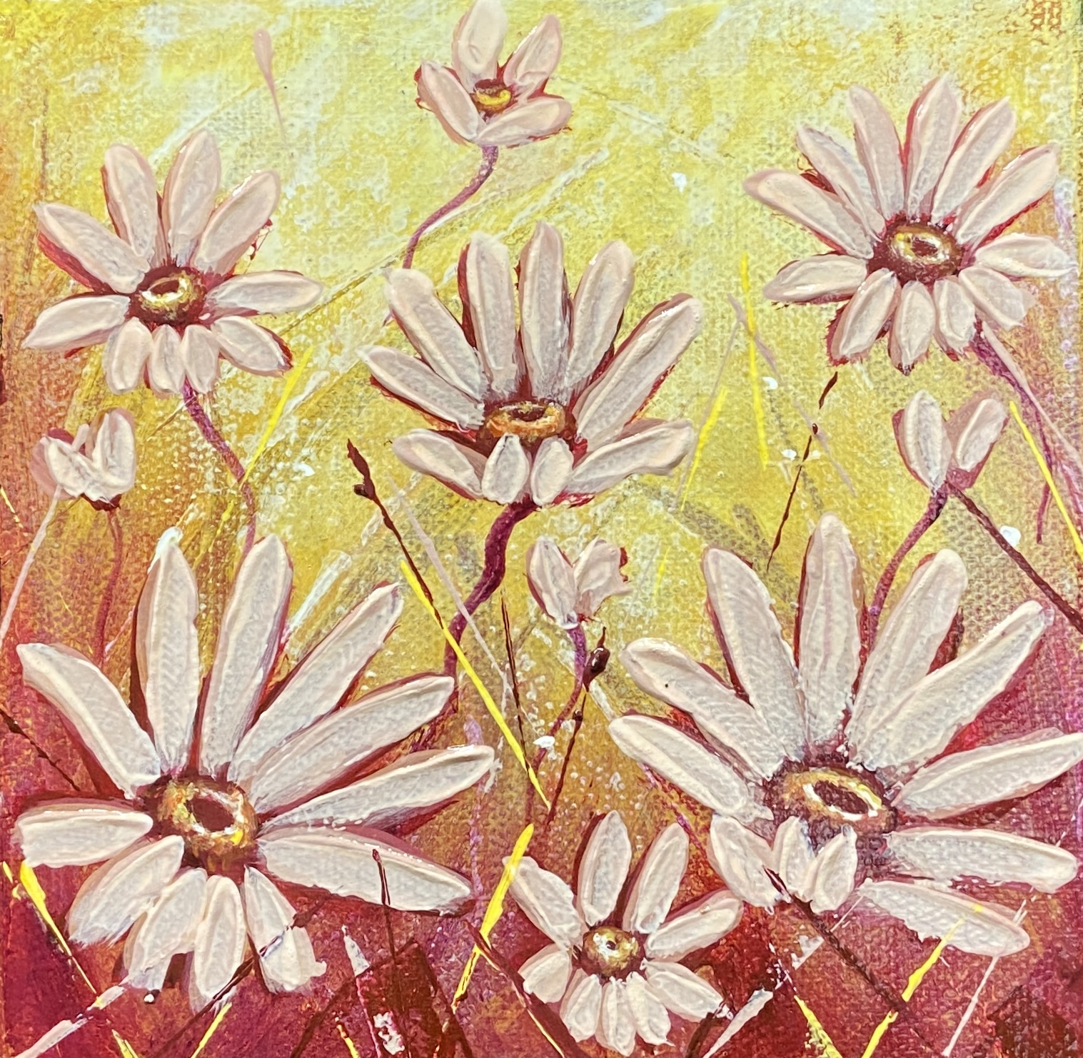 laugh – soft pink daisies 6×6