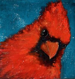 Hello!!!!!!! Cardinal 6x6