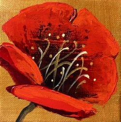 Golden poppy love 4x4