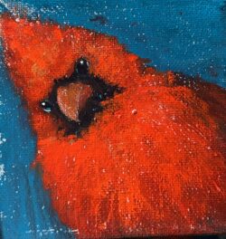 cardinal Joy 4x4