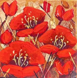 Lovely Golden Poppies  6x6
