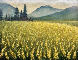 Sunshine Coast - 24x30