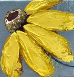 yellow daisy 1 4x4