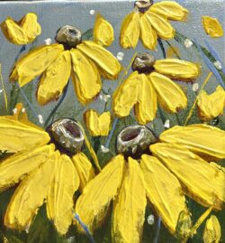 Daisy Love 6x6