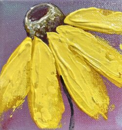 Pretty yellow daisy 4x4