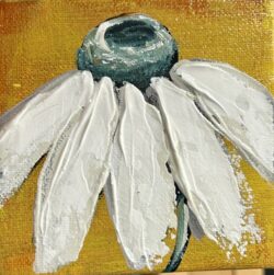Sweet daisy 3 4x4