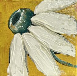 Sweet daisy2  4x4
