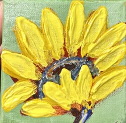 Sunray 4x4