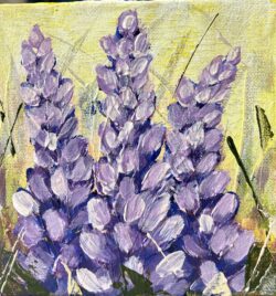 Lavender Lupins 6x6