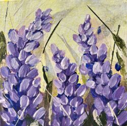 Lupin Love 6x6