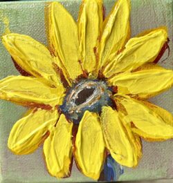 Sweet Lily 4x4