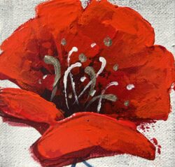 Winter poppy2 4x4