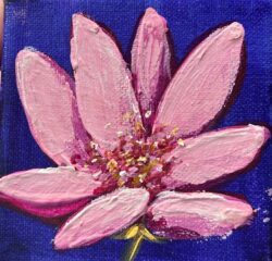 lily 4x4
