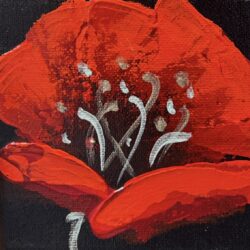 Midnight poppy2 4x4