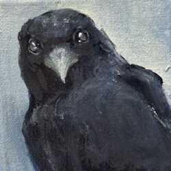 Hellooooo - little crow 4x4