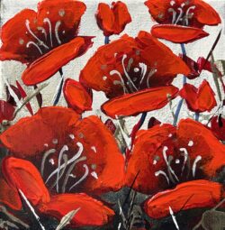 Lovely Winter Poppies  6x6