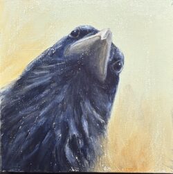 Is there anybody out there 12x12