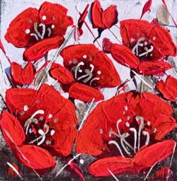 Crimson petals - winter poppies 6x6