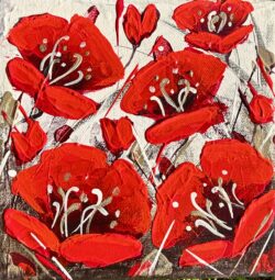Winter  poppies smile 6x6