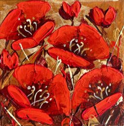 Gold dust  poppies 6x6